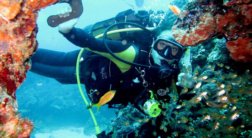Dive